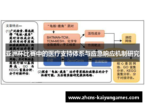 亚洲杯比赛中的医疗支持体系与应急响应机制研究