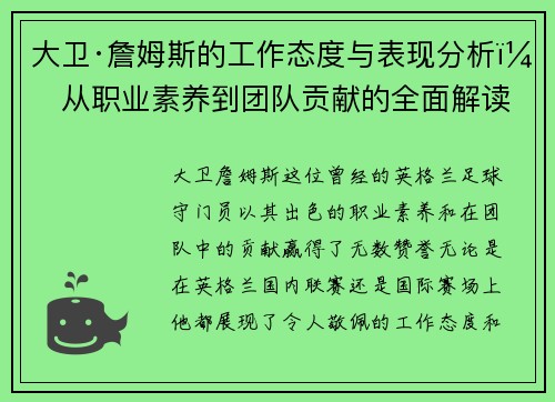 大卫·詹姆斯的工作态度与表现分析：从职业素养到团队贡献的全面解读