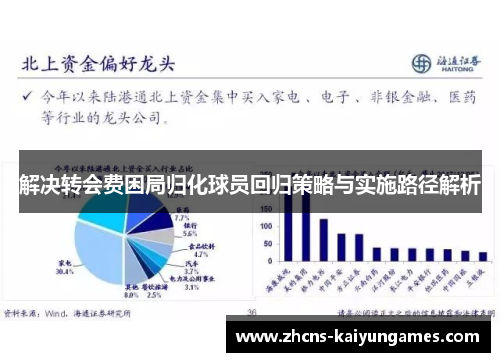 解决转会费困局归化球员回归策略与实施路径解析 解决转会费困局归化球员回归策略与实施路径解析