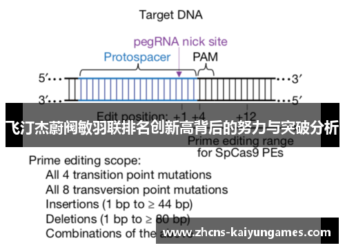 飞汀杰蔚阀敏羽联排名创新高背后的努力与突破分析 飞汀杰蔚阀敏羽联排名创新高背后的努力与突破分析